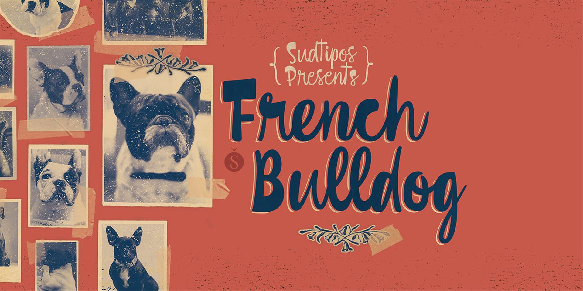 Imagen de gráfica publicitaria sobre la tipografía French Bulldog donde aparece un fondo rojo con diferentes fotografías de perros de esta raza